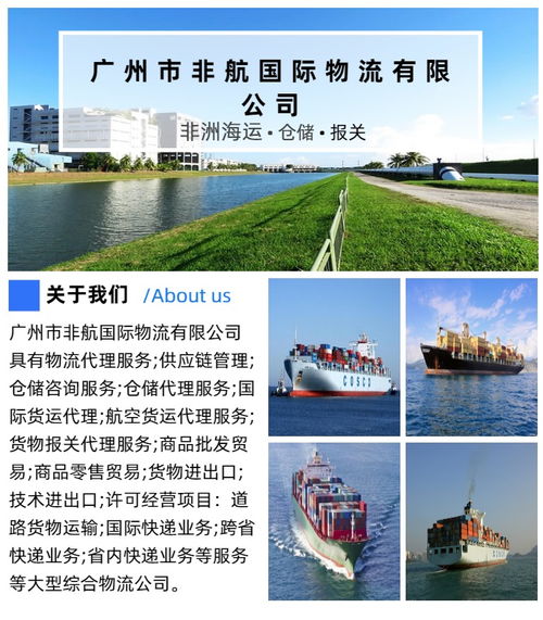 廣州至坦桑尼亞專線費用解析及數據處理服務